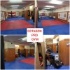 Octagon pro Gym 2