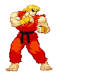 Semi fighter