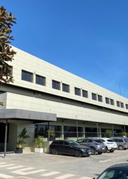 die Halle