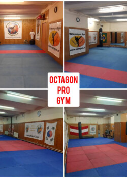 Octagon pro Gym 1