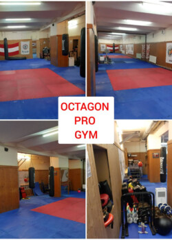 Octagon pro Gym 2