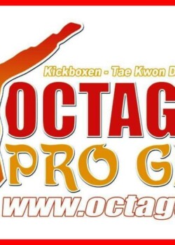 Octagon pro Gym Logo